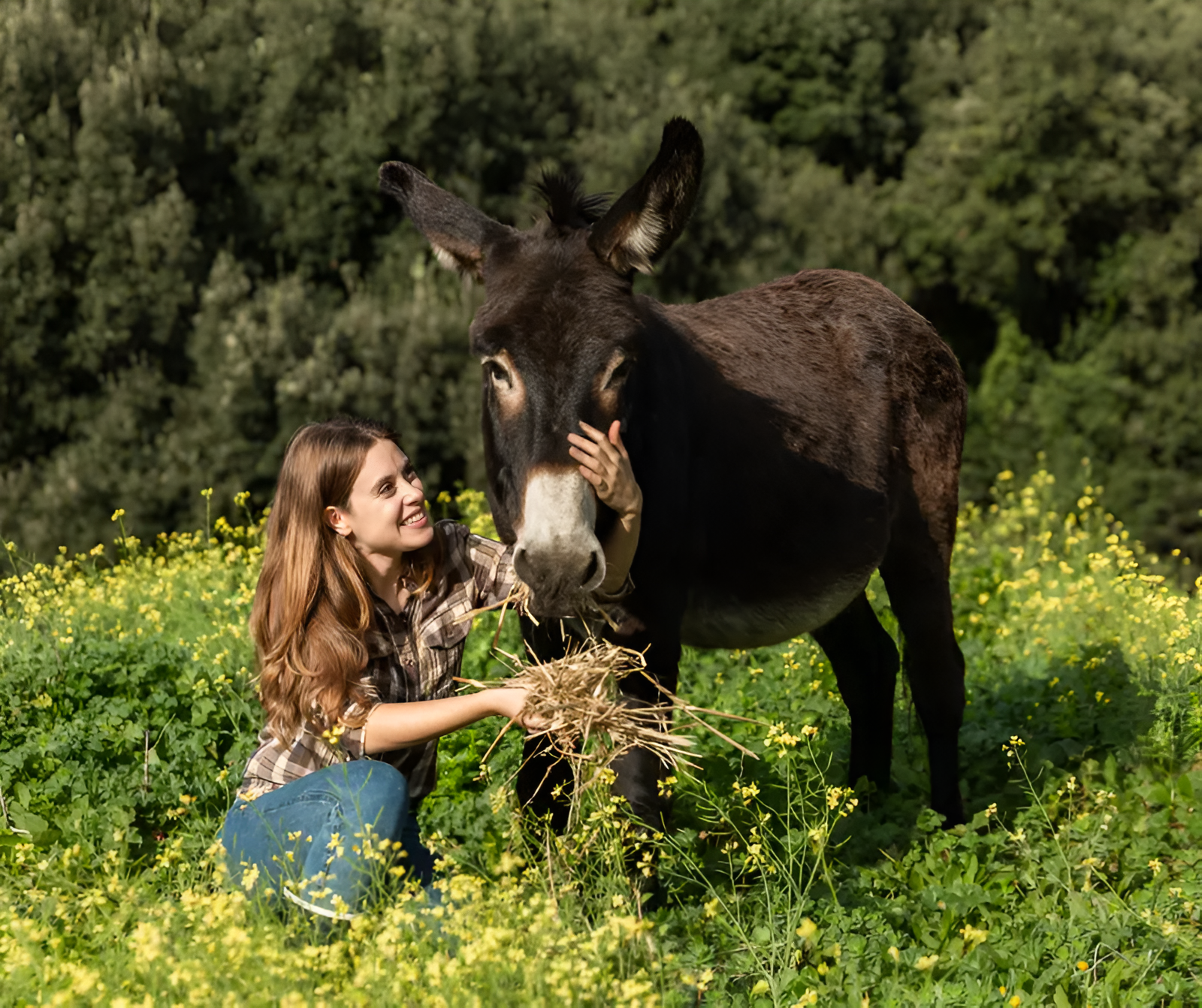 Untitled Design (2) Picsart Aiimageenhancer