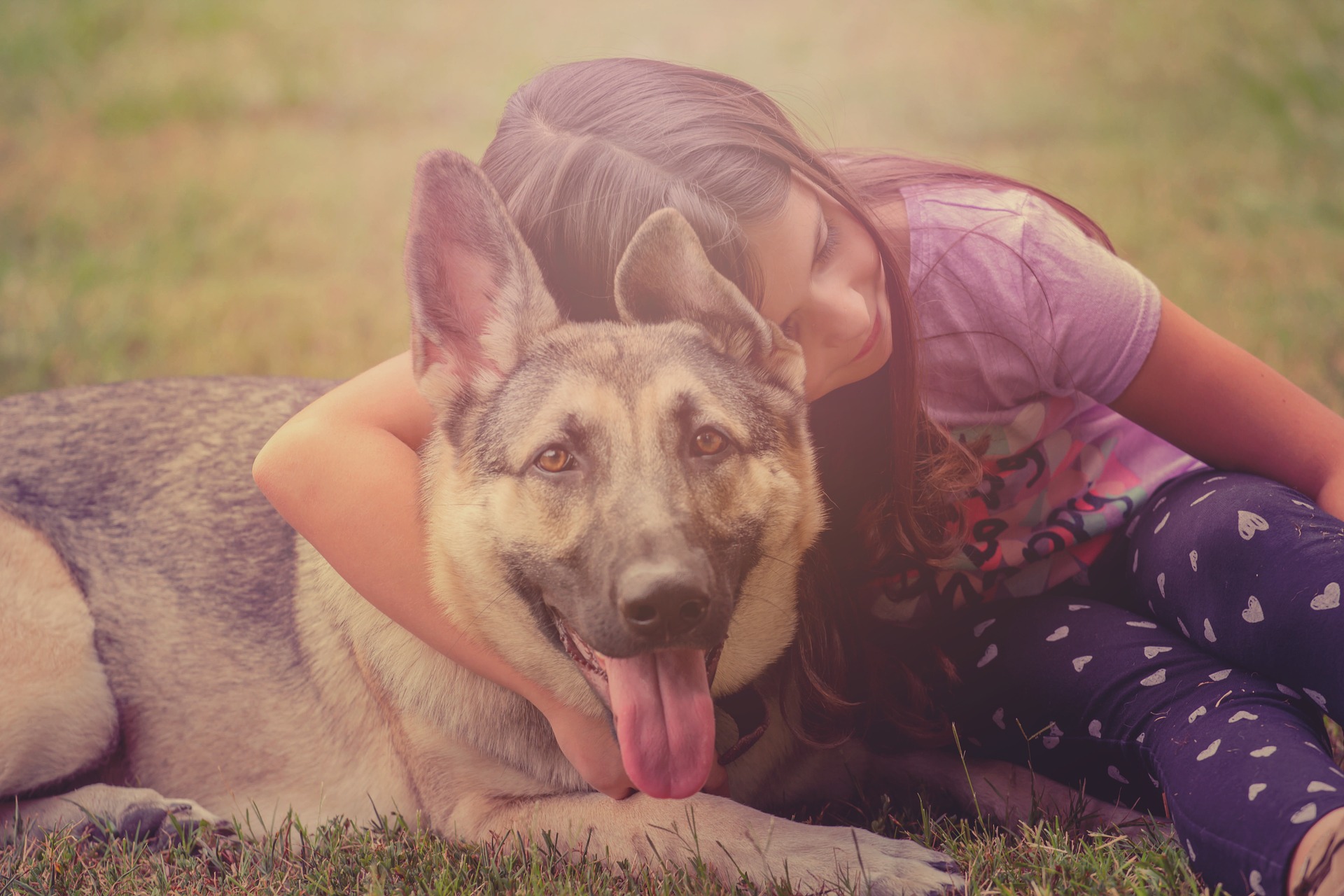 child and dog