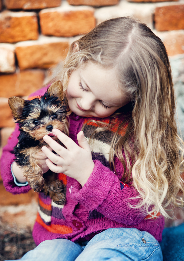 Child Playing With Puppy By Brick Wall Sbi 304893794 1 (1)